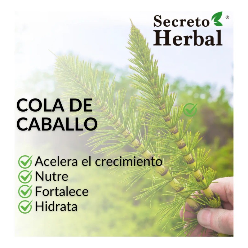Kit Shampoo Anticaída Y Acondicionador Secreto Herbal 1l