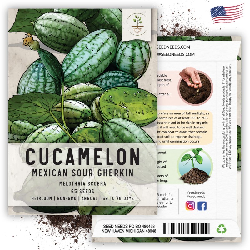 Seed Needs, Cucamelon/Mexican Sour Gherkin Seeds for Planting (Melothria scobra)