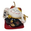 Starlet24 Set of 5 Chinese Lucky Cats Ceramic Decorative Lucky