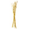 Green Floral Crafts Curly Willow Branches (Gold Glitter, Gold Glitter)