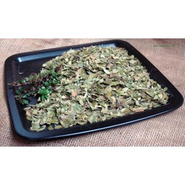 Naturix24 Bearberry Leaf Tea - Whole Bearberry Leaves - 500g Bag