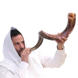 Kosher Kudu Shofar Horn from Israel 36”-39” – Traditional Half Polished Kudu Yemeni Shofar Holy Voice Easy Blowing Ancient Jewish Musical Instrument.