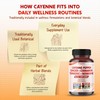 Cayenne Pepper Ginger Turmeric Berberine - Digestion, Gut Heath Support