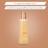 JEAN D'ARCEL Multibalance Gel Démaquillant Confort - Cleansing Gel -