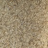 Rice Hulls (1 Gallon) - All Natural Parboiled Rice Hulls