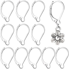 Alpinleux 12 Pcs Leverback Earring Hooks, Stainless Steel Clasp Hoop, Hypoallergenic Dangles Earring Hooks, French Ear Wire Findings for Women, DIY Crafts, Jewelry Making (Silver)