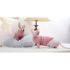 DUOMASUMI Sphynx Cat Vest Autumn Winter Devon Rex Cat Velvet
