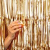 Pack of 2 Matte Gold Foil Fringe Curtains – Matte