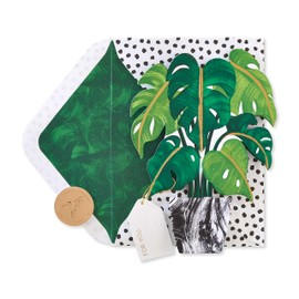 Papyrus Blank Pop Up Card (Plant)