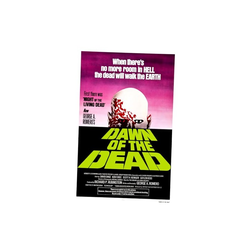 posters Dawn of the Dead Movie 11inx17in 11"x17"