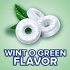 LIFE SAVERS Wint-O-Green Breath Mint Bulk Hard Candy, Party Size,