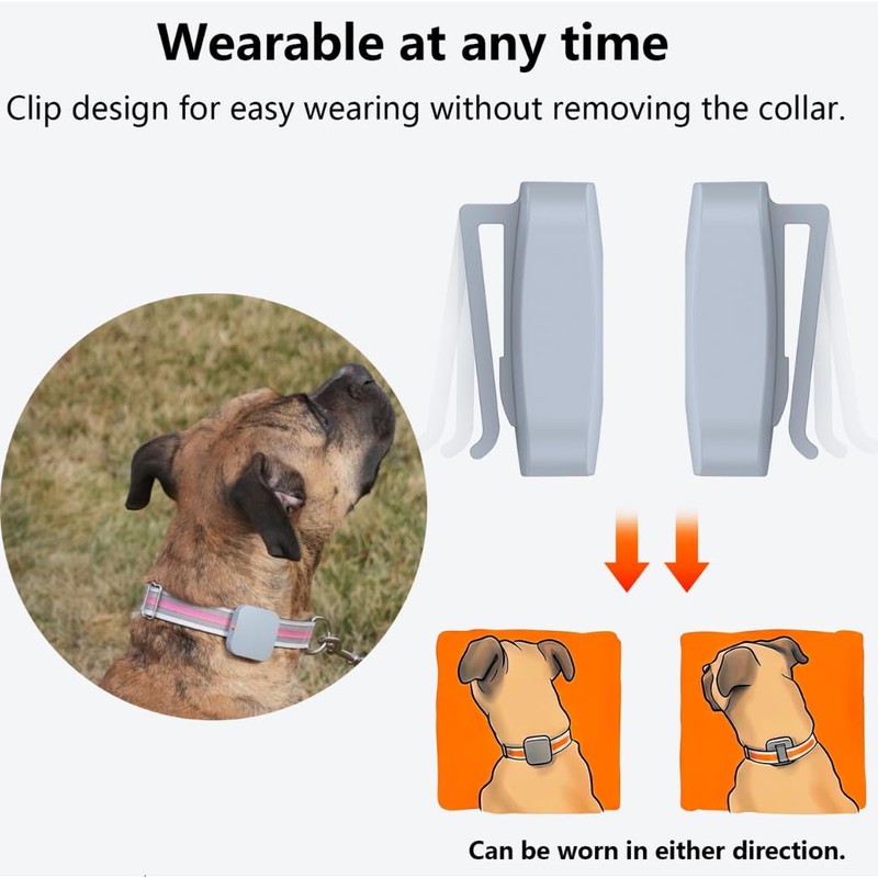 Dog Training Collar with Remote Controller - E Collar for