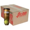 Penn Tour Regular-Duty Felt Clay Court Tennis Balls (3-Ball Can)