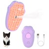 Steam Brush for Cats, Spray Comb Mist Brush, Rechargeable Steam