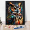 TUMOVO Animal Paint by Numbers, Abstract Owl Paint by Number