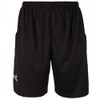Woodworm Cricket Pro Select Team Kit Shorts- Small Black
