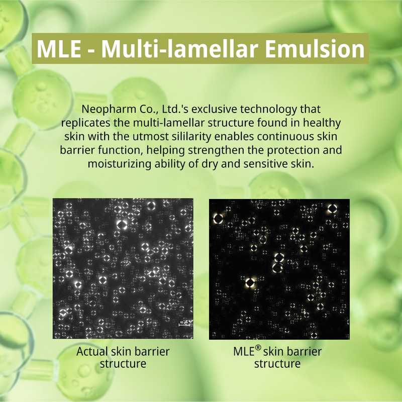 ZEROID [ZEROID]Intensive Cream 80ml