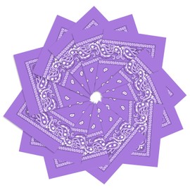 PJPSAA 12 Pack Bandanas Unisex Paisley Cowboy Bandanas Bulk Multi Purpose Headband Scarf for Men Women Costume