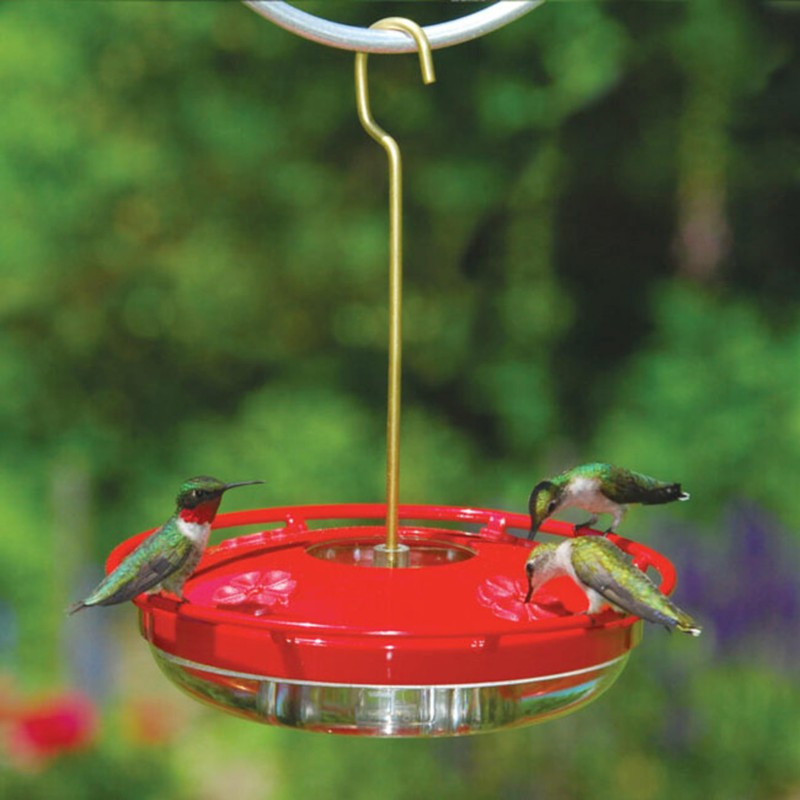 Aspects HummZinger HighView 12 Oz Hanging Hummingbird Feeder - 429,
