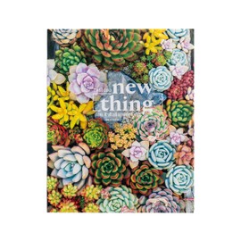 DaySpring - Beautiful Succulents - 1,000 Piece Inspirational Jigsaw Puzzle for Adults (24 x 30)