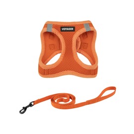 Voyager Step-in Air Cat Leash Harness Set - All Weather Mesh, Step in Vest Harness for Small and Large Cats by Best Pet Supplies - Orange, S (Chest 14-16")