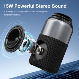 Passau Portable Bluetooth Speaker Wireless with Lights, 15W Loud Stereo Clear Sound, All Day Playtime, BT 5.4, TWS Paring, for Home Outdoor Party Beach (Black)