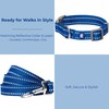 Blueberry Pet Essentials Reflective Dog Collar & Leash Set, Adjustable