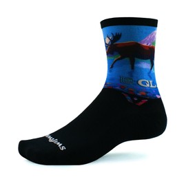 Swiftwick- VISION SIX Impression, Parks Edition, Running and Cycling Socks (Glacier, X-Large)