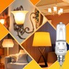 Lustaled JDE11 120V 100W Halogen Bulbs,2700K Warm White Dimmable JD