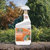 Bonide Captain Jack's Copper Fungicide, 32 oz Ready-to-Use Spray for