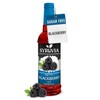 Syruvia Sugar-Free Blackberry Syrup - 25.4 fl oz.