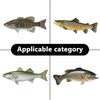 Katyjun 5 Piece Fishing Lure Set, Perch Bait, Jig Spinner