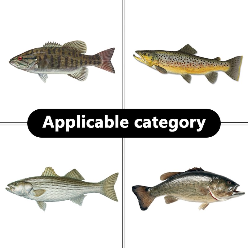Katyjun 5 Piece Fishing Lure Set, Perch Bait, Jig Spinner