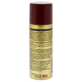 Salon Grafix High Beams Intense Temporary Spray - Brown for Unisex - 2.7 oz Hair Color