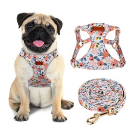 CHEDE No Pull Floral Pattern Dog Harness- Lightweight, Soft, Adjustable Small Harness and Leash Set, Suitable for Puppy Small and Medium-Sized Dog (S, Orange Rose)