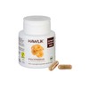 HAWLIK Vital Mushrooms Polyporus Extract Capsules | 60 Capsules |