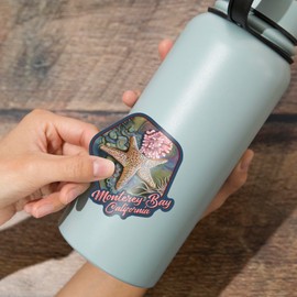 Die Cut Sticker Monterey Bay, California, Tidepool, Vinyl Sticker 3 to 6 inches, (Waterproof Decal for Cars, Water Bottles, Laptops, Coolers), Large