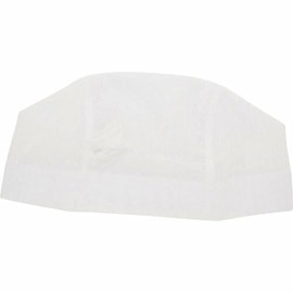 SWANS Swim Cap SA-61 M Size W White Mesh Swimming Cap
