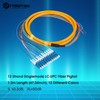 fyboptwu - 12 Fibers LC UPC Singlemode (SM) Fiber Optic