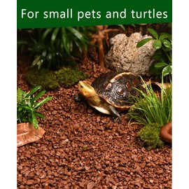 Horticultural Calcined Clay Soil Bonsai Cactus Soil Additive for Succulent Plants (5 QT, 1/4 inch)