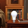 White Sight Secret Light Bulb, Safe Light Bulb Secret Compartment,
