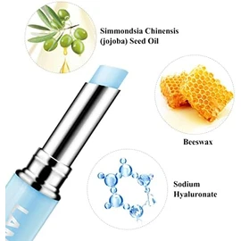 Bálsamo labial con ácido hialurónico Relleno labial Extracto natural Desvanecimiento de las líneas labiales Lápiz labial nutritivo Hidratante Cuidado
