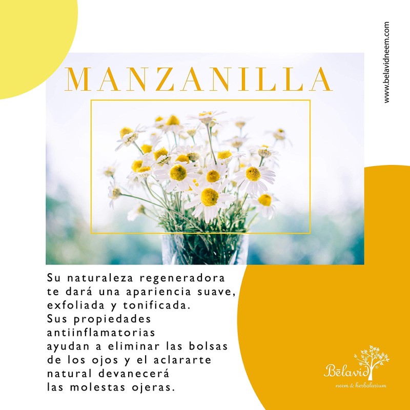 Tónico Facial y Jabon Artesanal Neem