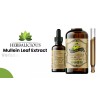 HERBALICIOUS Mullein Leaf (Verbascum Thapsus) - 2oz Promoting Lung, Respiratory