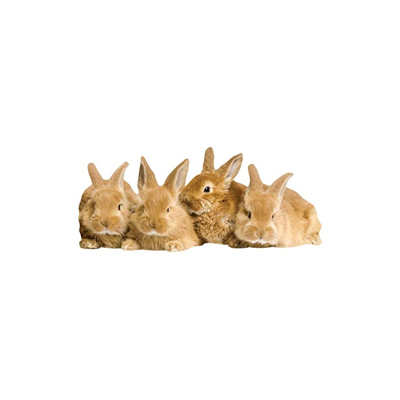 Paper House Productions 3.75" x 1.75" Die-Cut Sweet Bunnies Shaped