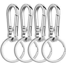 Wikavanli Metal Keychains Keyring Key Chain Ring Clip Holder Organizer for Home Car Keys Key Finder Women Men (4, Silver)