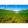 Choppo HD Baby Bass 105 (3/4 oz)