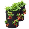 Wmzjnljy 1pc Strawberry Grow Bag 7 Gallon Strawberry Planter Durable