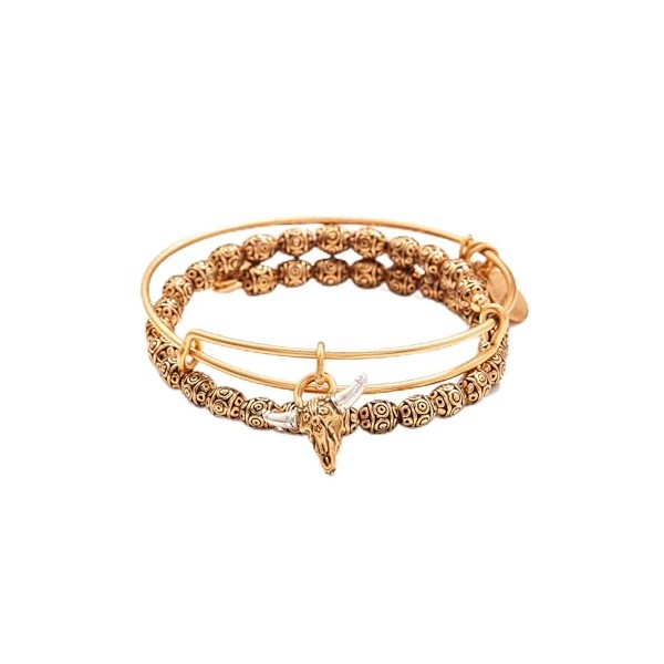 Alex and Ani A22INTENSET10,Manifest Strength Set of 2,Gold,Bracelet