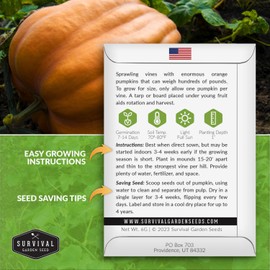 Atlantic Giant Pumpkin Seeds for Planting - 5 Packets with Instructions to Plant & Grow Award Winning Extremely Big Pumpkins in Your Home Garden - Non-GMO Heirloom Variety - Survival Garden Seeds